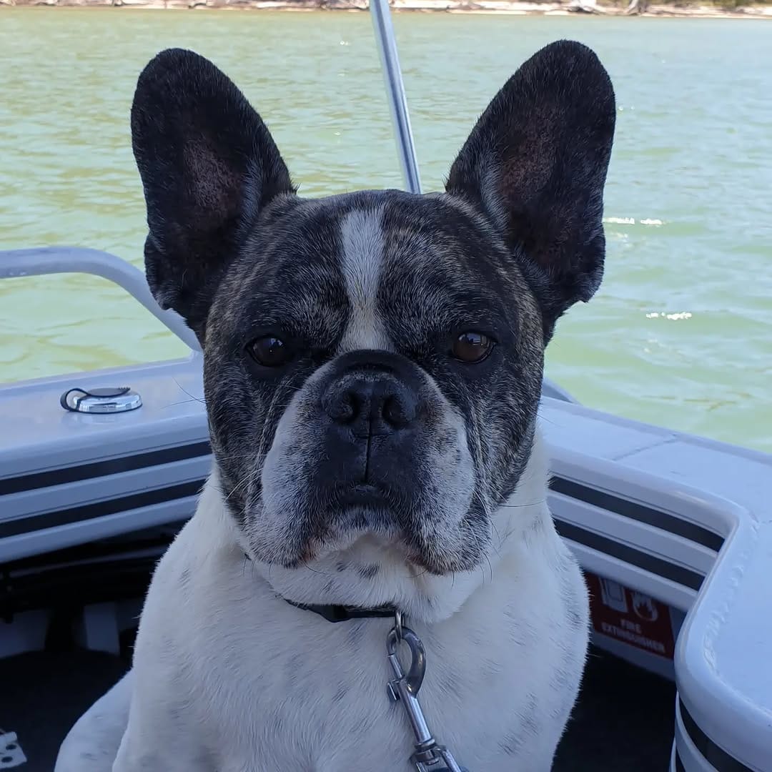 Post 6 by HUDSON⛵🎣🌊👍 on Instagram (image)
