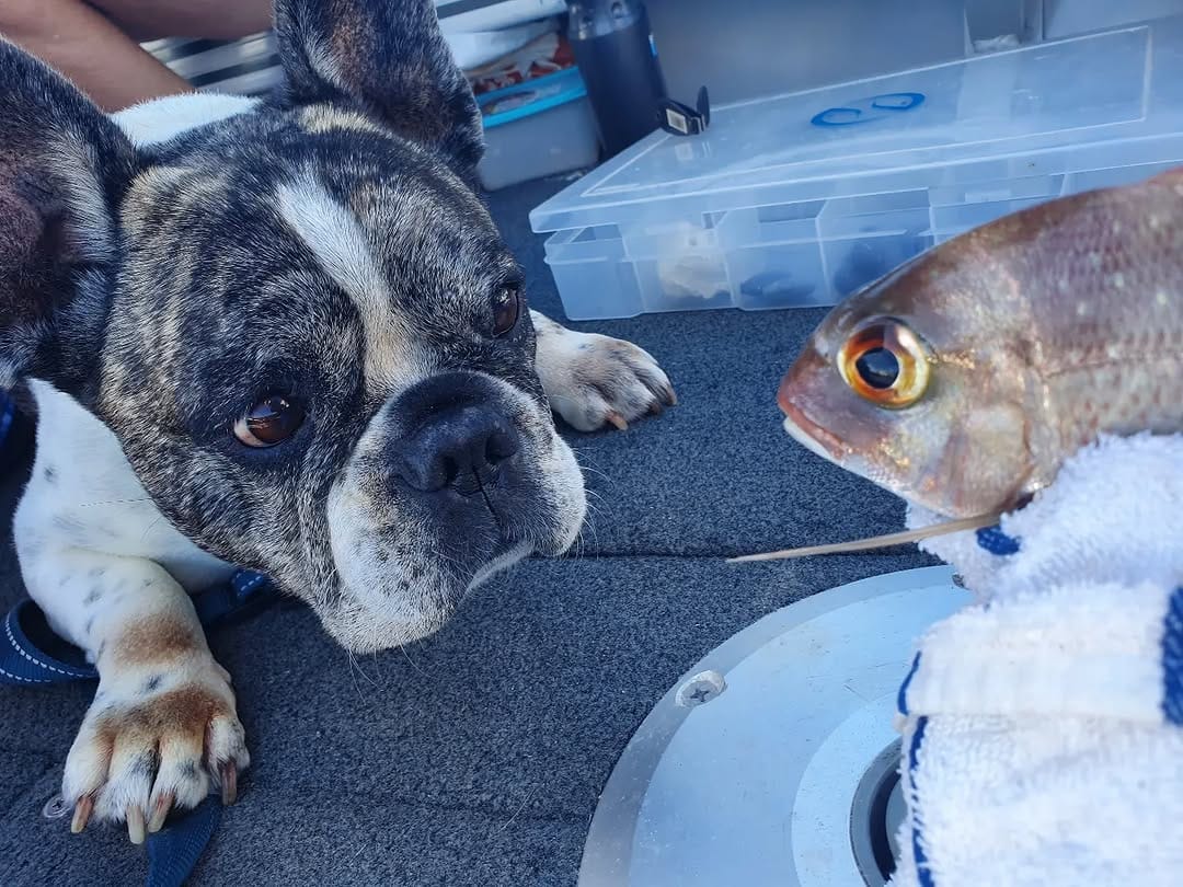 Post 3 by HUDSON⛵🎣🌊👍 on Instagram (image)