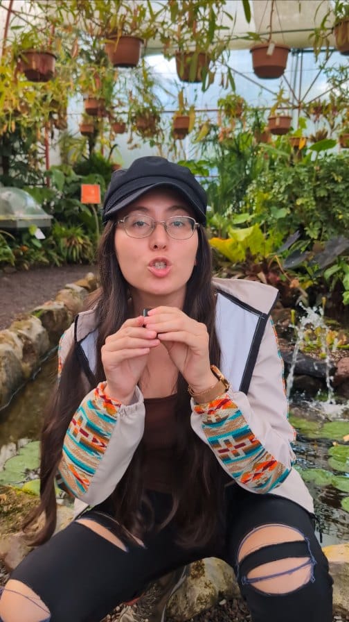 Post 8 by Victoria Toscano on Instagram (video)