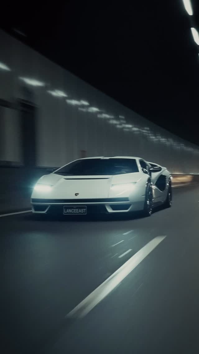 Post 7 by LEE COLLECTION on Instagram (video)
