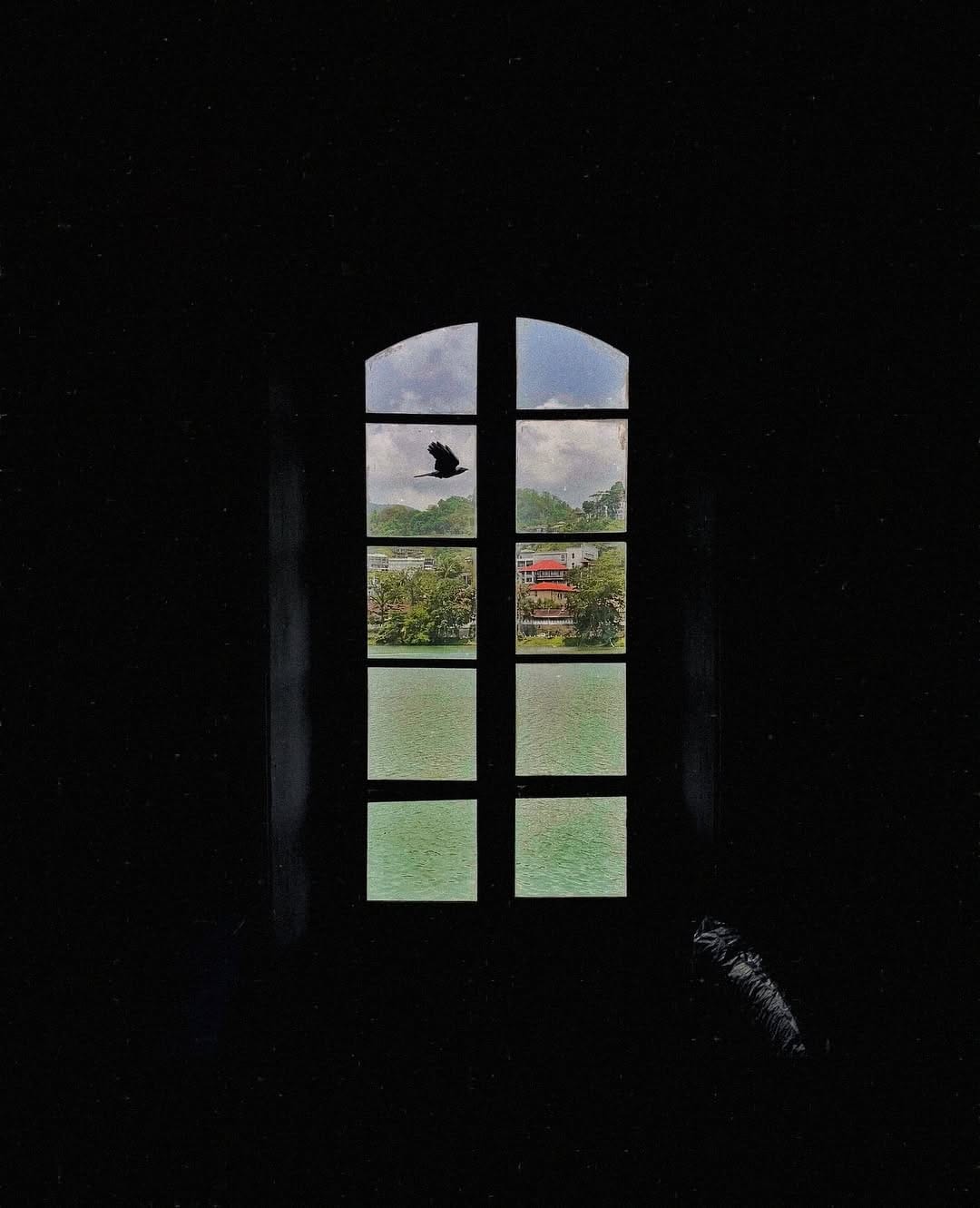 Post 2 by Anika Tarannum Alam on Instagram (image)
