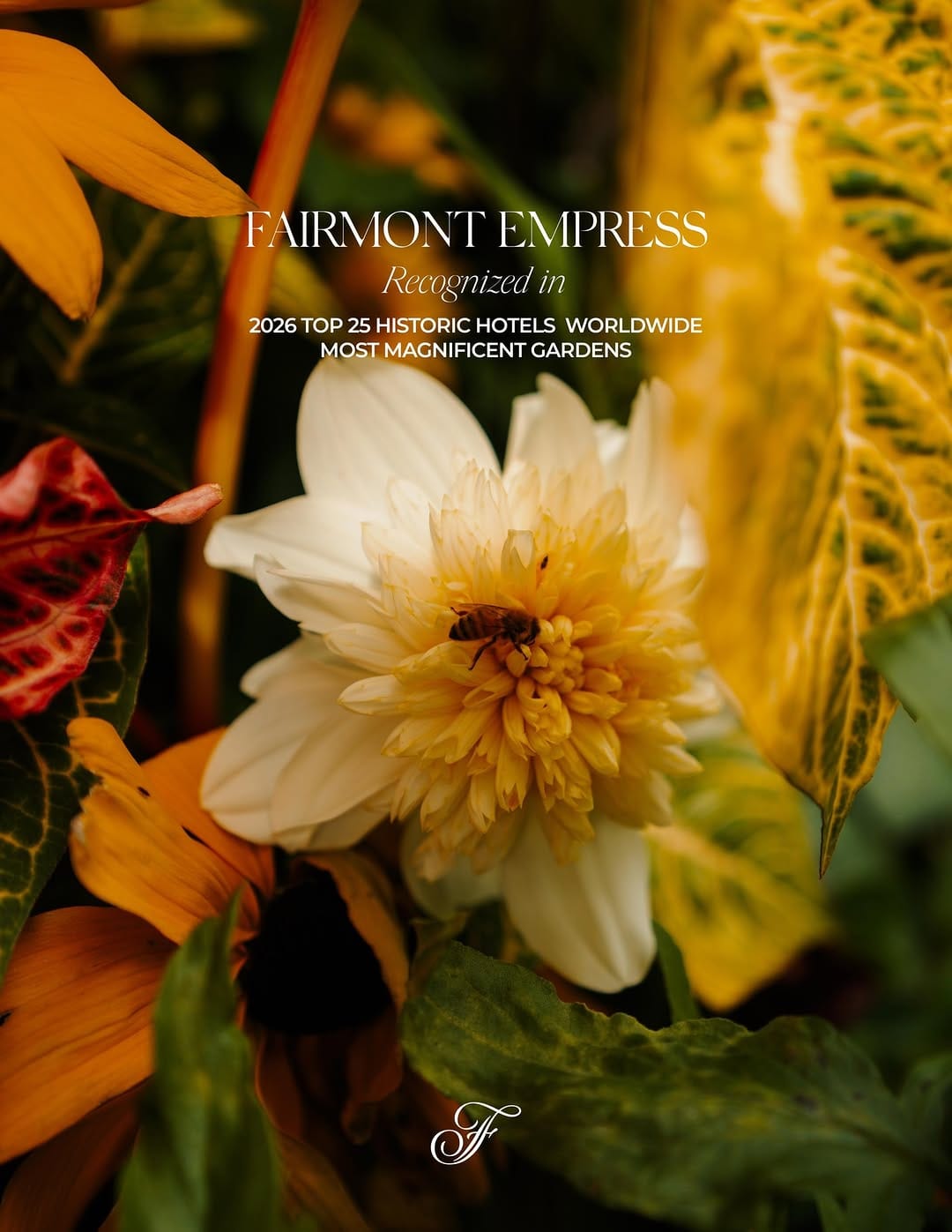 Post 10 by Fairmont Empress on Instagram (carousel)