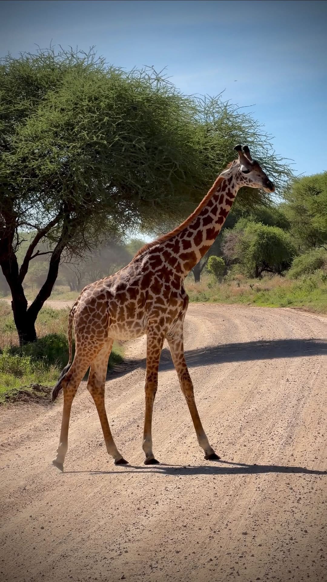 Post 8 by Sue • Travel & lifestyle | Photographer on Instagram (video)