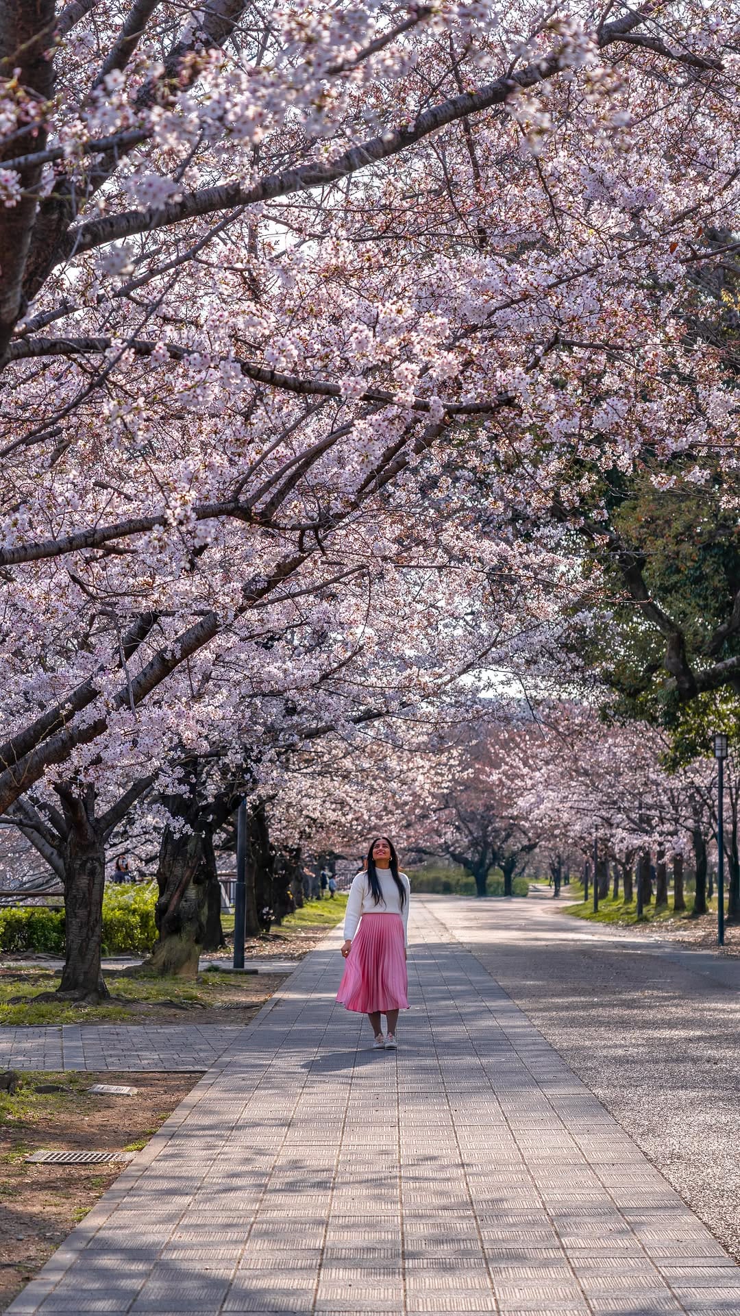 Post 9 by Sue • Travel & lifestyle | Photographer on Instagram (video)