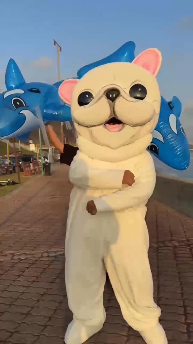 Post 2 by Leonardo Luna Victoria Velasquez on Instagram (video)