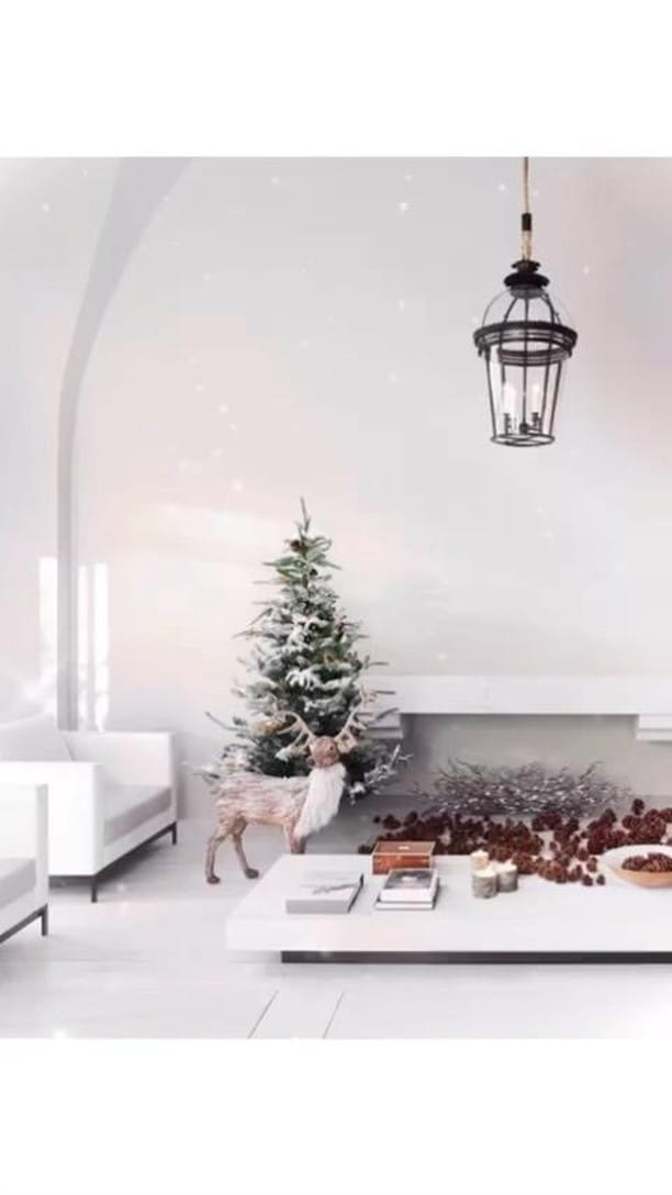 Post 7 by Guillaume Alan on Instagram (video)
