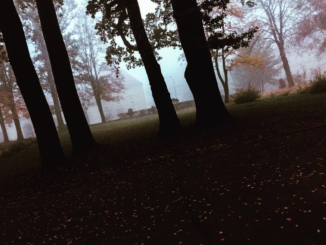 Post 4 by Victoria on Instagram (image)