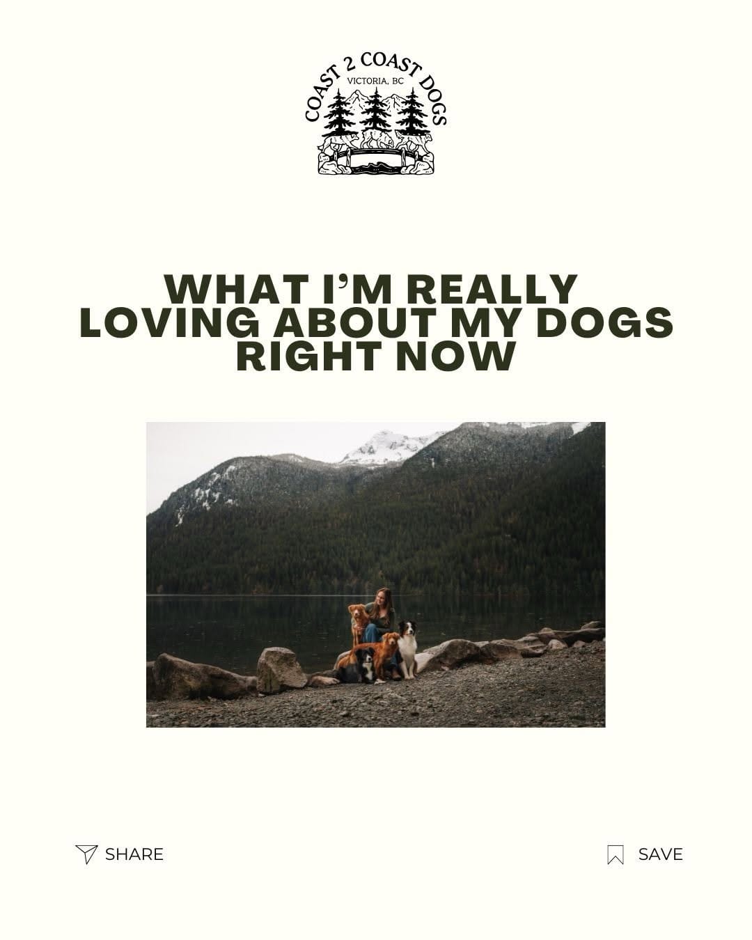 Post 5 by Coast 2 Coast Dog Training on Instagram (carousel)