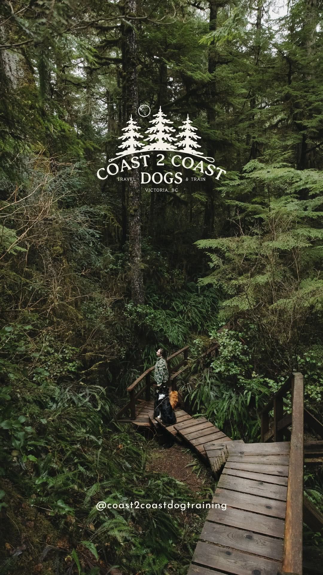 Post 9 by Coast 2 Coast Dog Training on Instagram (video)