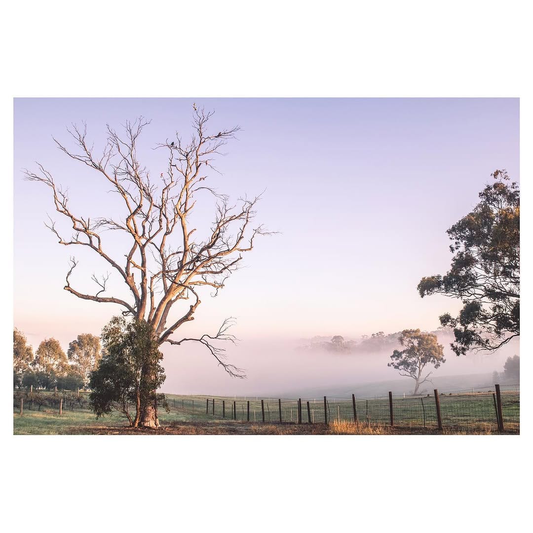 Post 7 by Thomas | South Australia on Instagram (image)