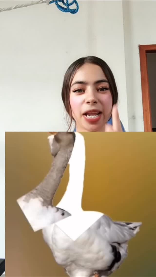 Post 1 by Ariana Gatita on Instagram (video)