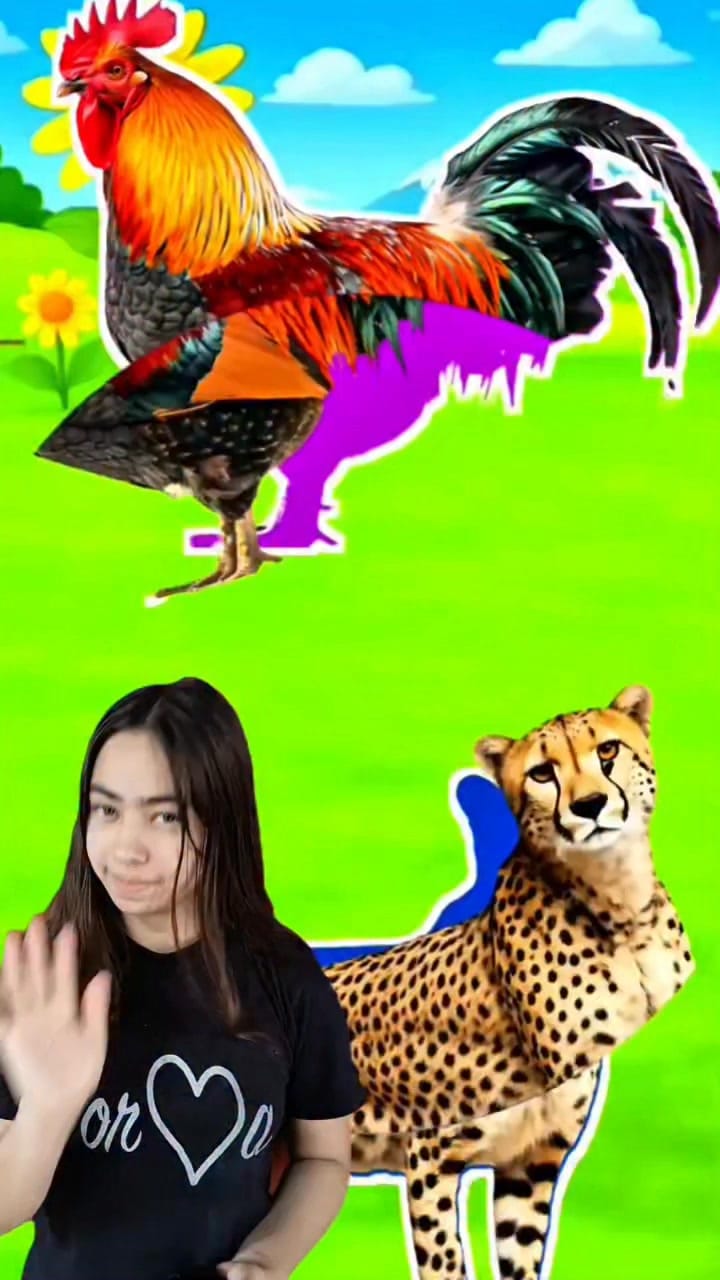 Post 10 by Ariana Gatita on Instagram (video)