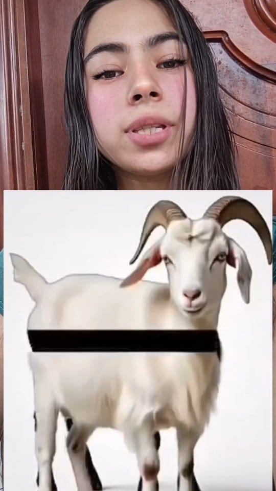 Post 2 by Ariana Gatita on Instagram (video)