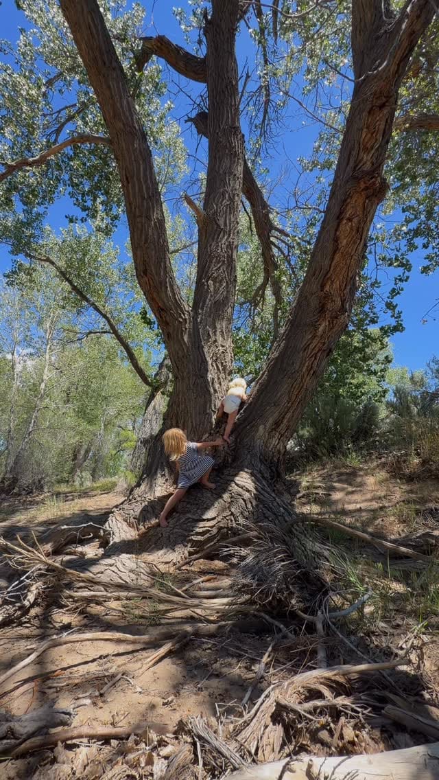 Post 4 by Peppiina Whitney | Finnish mom in the U.S. on Instagram (video)