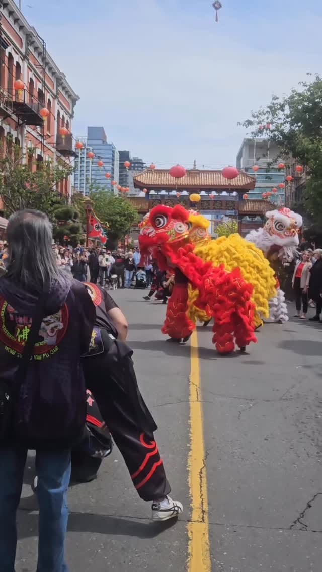Post 6 by Vancouver Island Guide | YYJ Mom on Instagram (video)