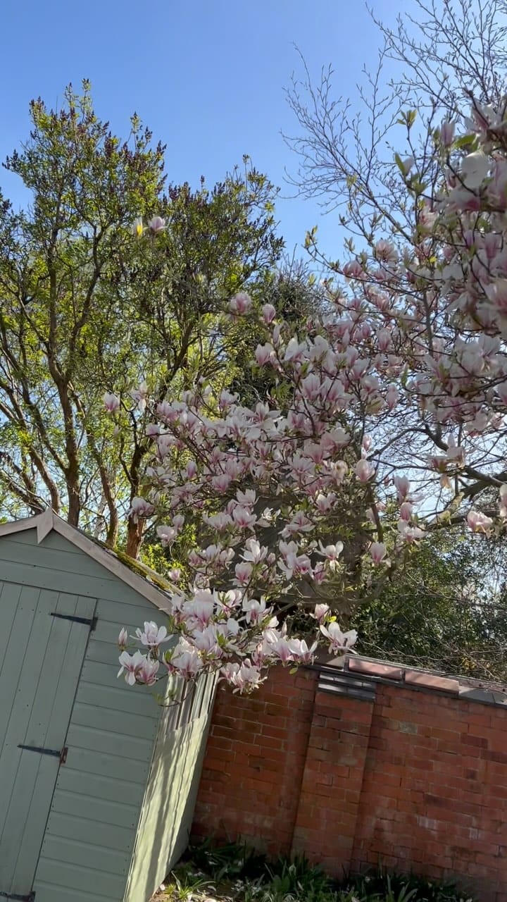Post 3 by peony.cottage on Instagram (video)