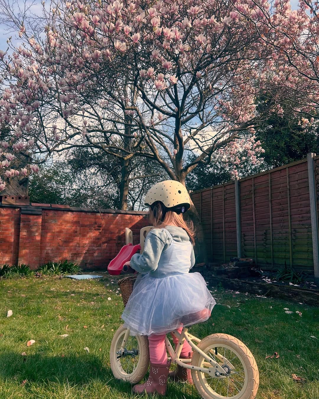 Post 5 by peony.cottage on Instagram (carousel)
