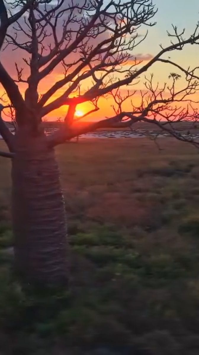 Post 2 by Kane Mclatchie on Instagram (video)
