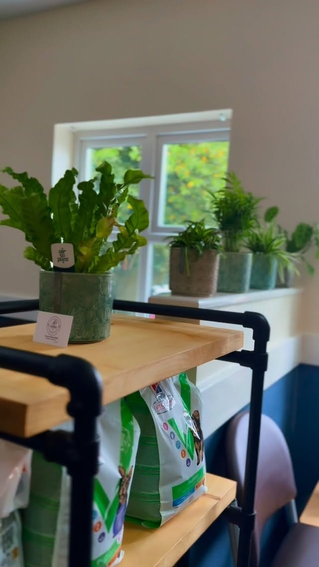 Post 1 by Plants & Papers Cymru on Instagram (video)