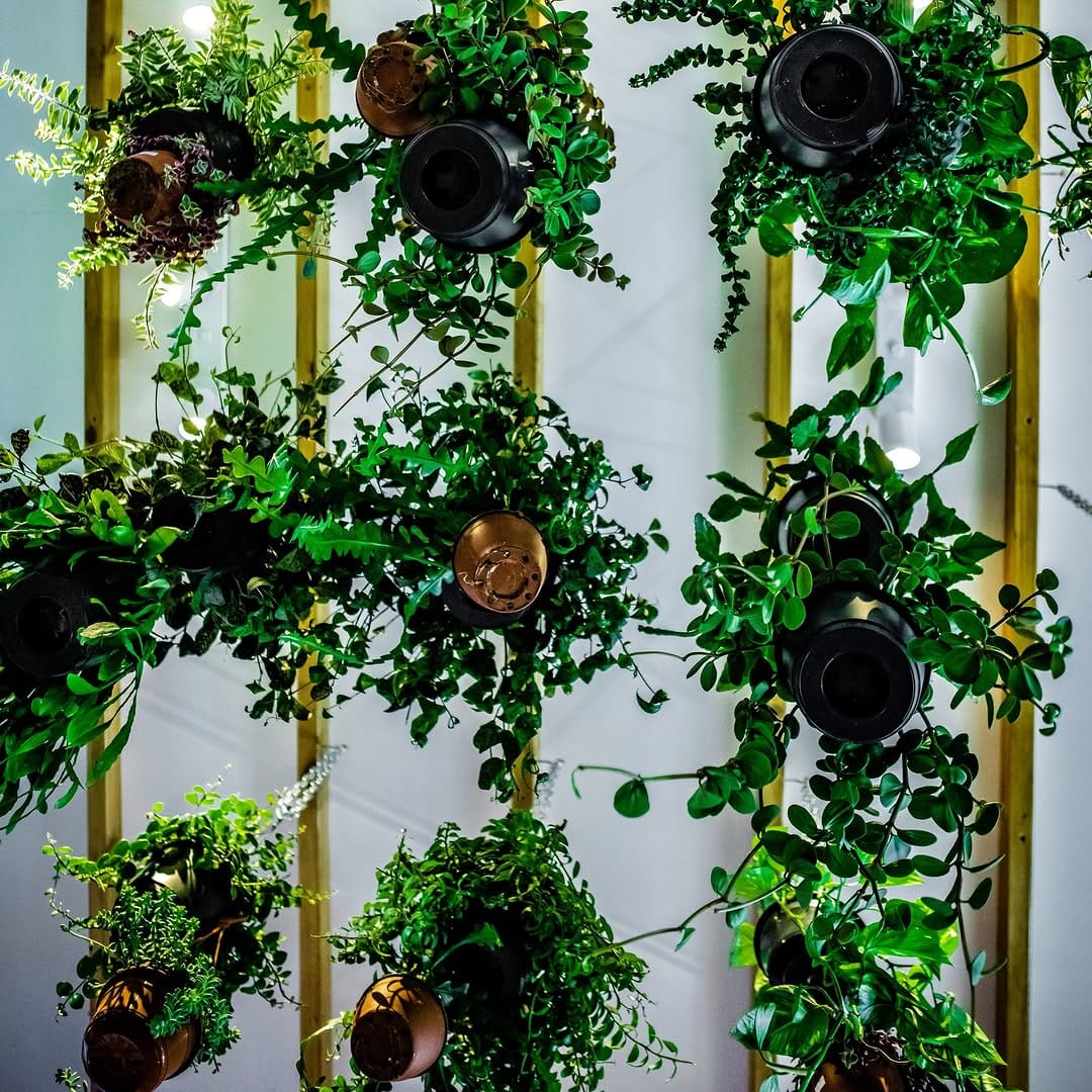 Post 4 by Plants & Papers Cymru on Instagram (image)