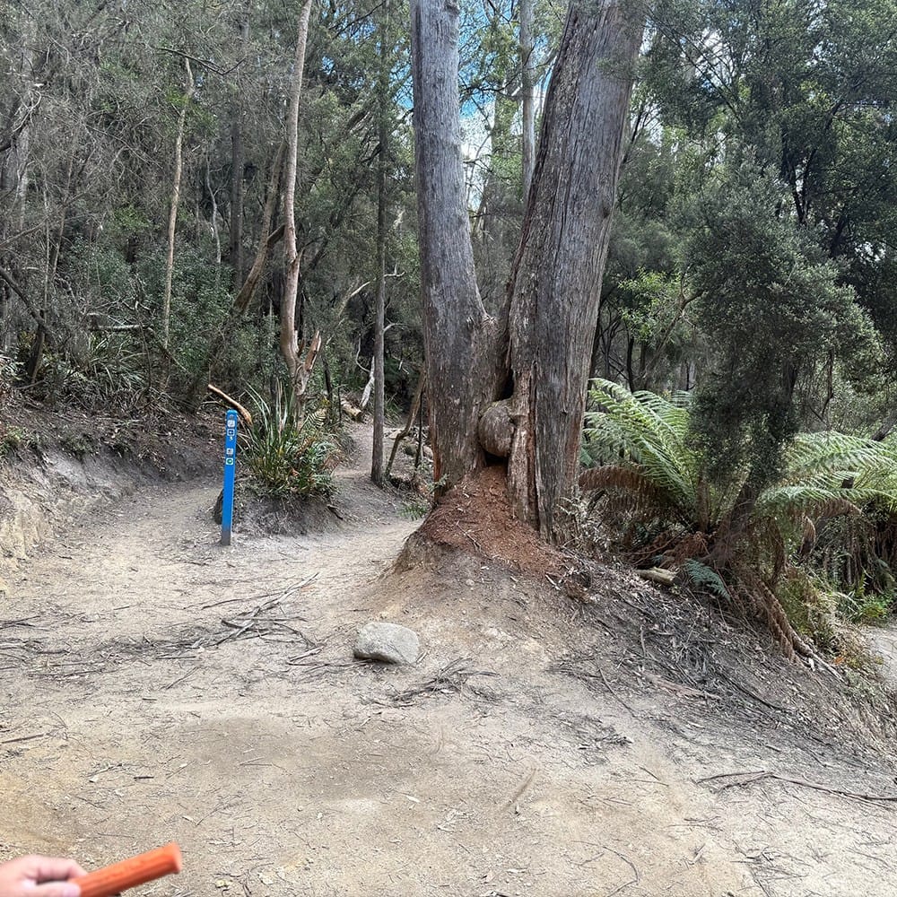 Post 8 by Tasmania.com on Instagram (carousel)