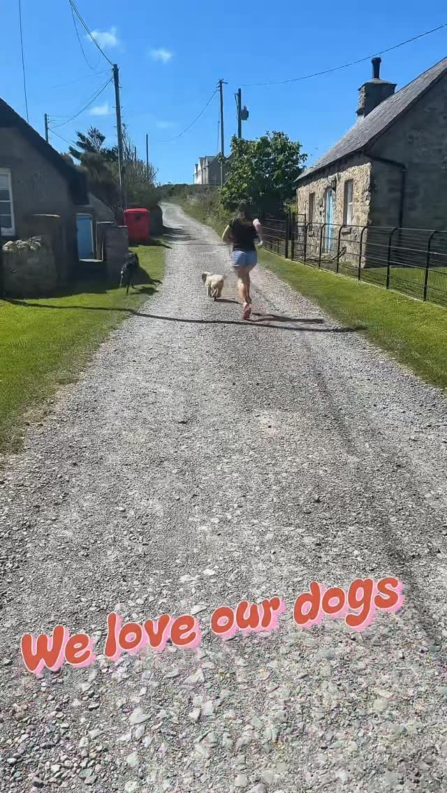 Post 4 by Space Like This - Mandy Watkins on Instagram (video)