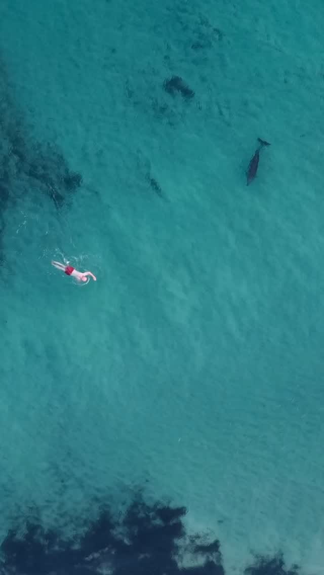 Post 5 by ShotbyLukeWilliams | Australia on Instagram (video)