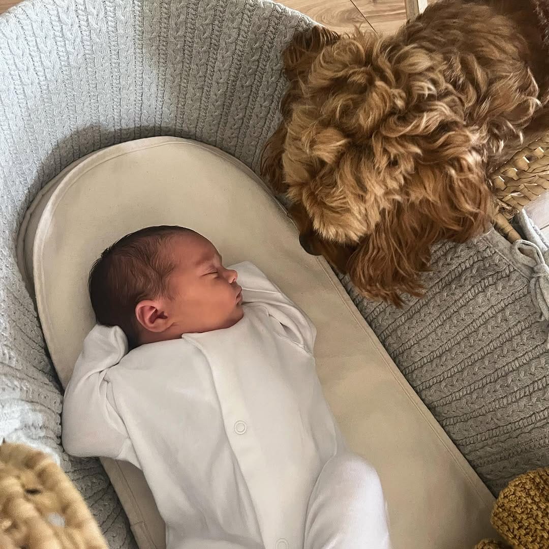 Post 7 by Alice Hawkins on Instagram (image)