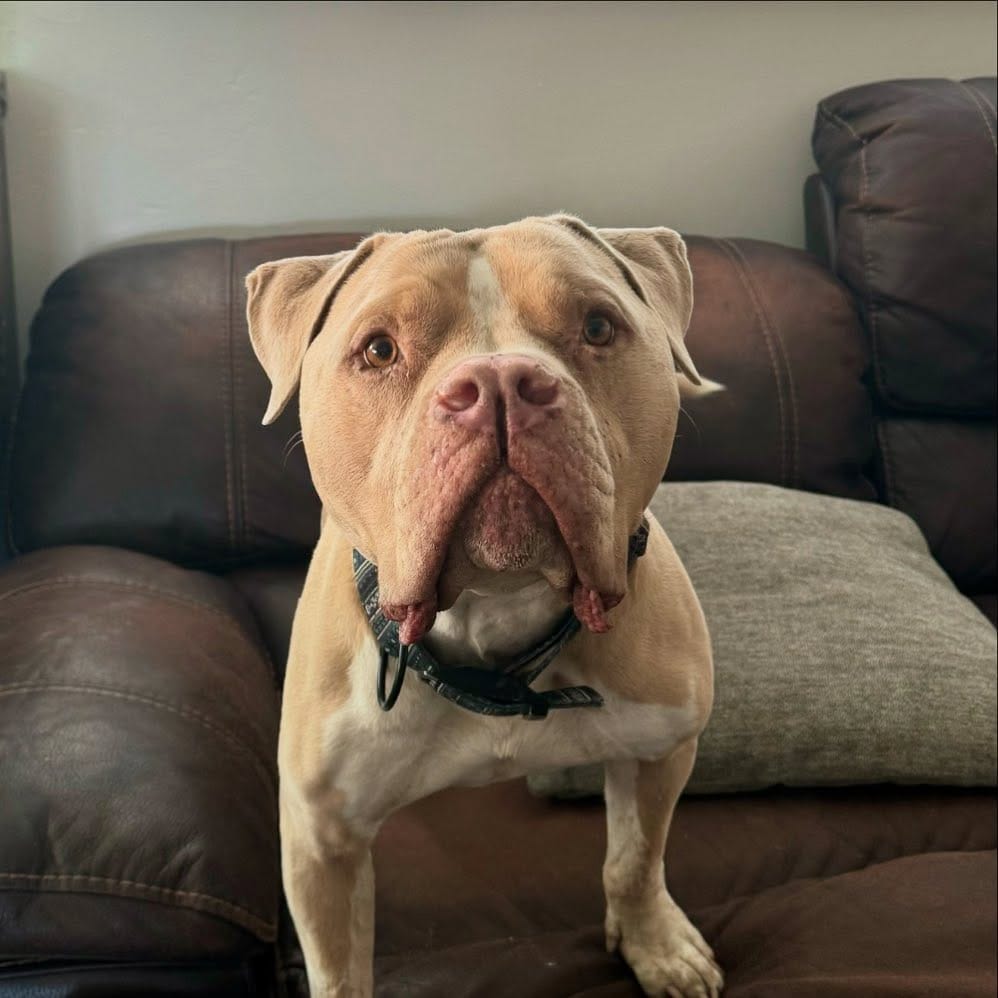 Post 5 by Chief Thomas on Instagram (image)