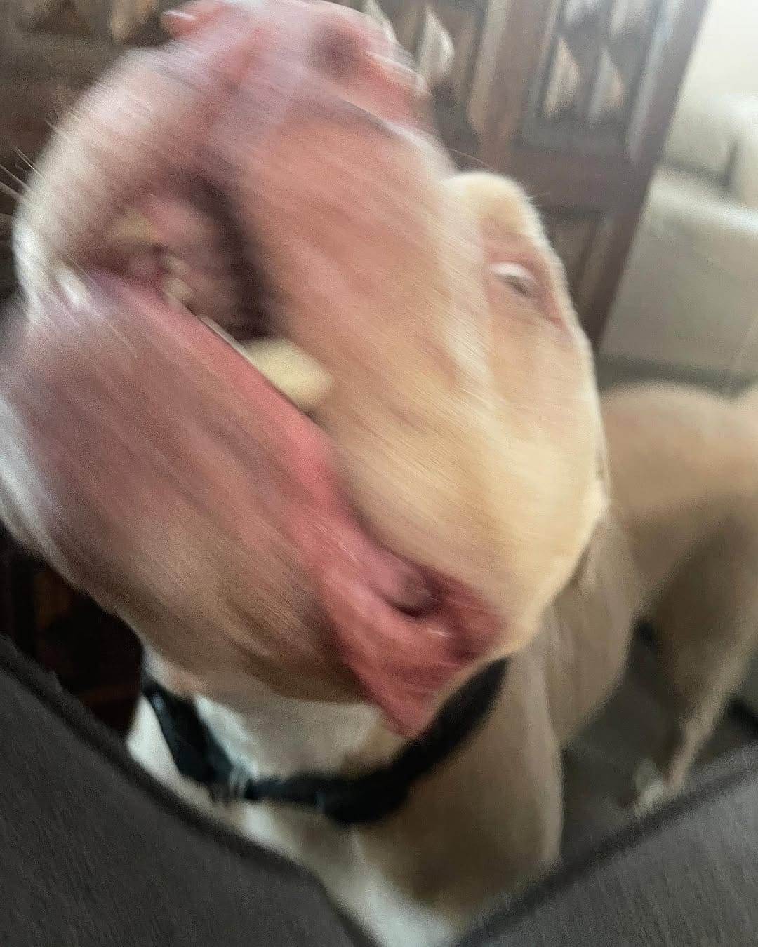 Post 9 by Chief Thomas on Instagram (image)