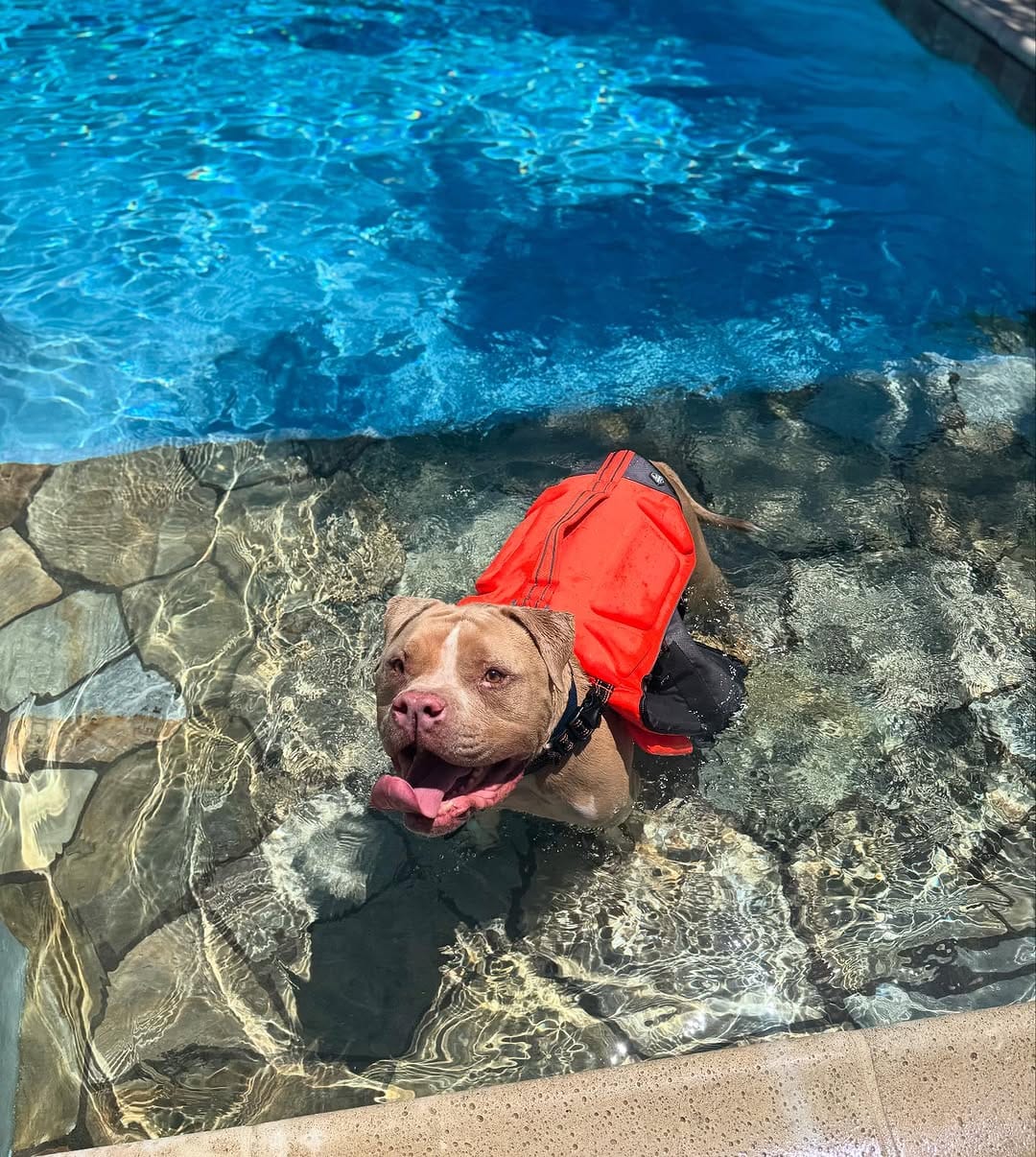 Post 1 by Chief Thomas on Instagram (image)