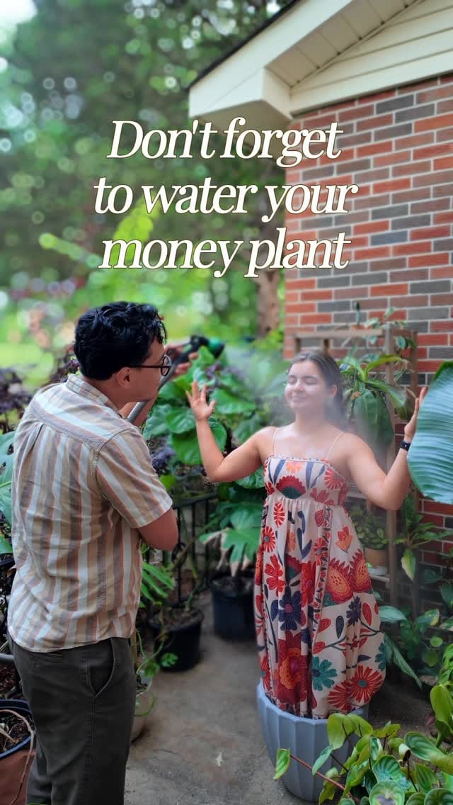 Post 7 by Vivatia Plants | Botanical Art + Installations on Instagram (video)