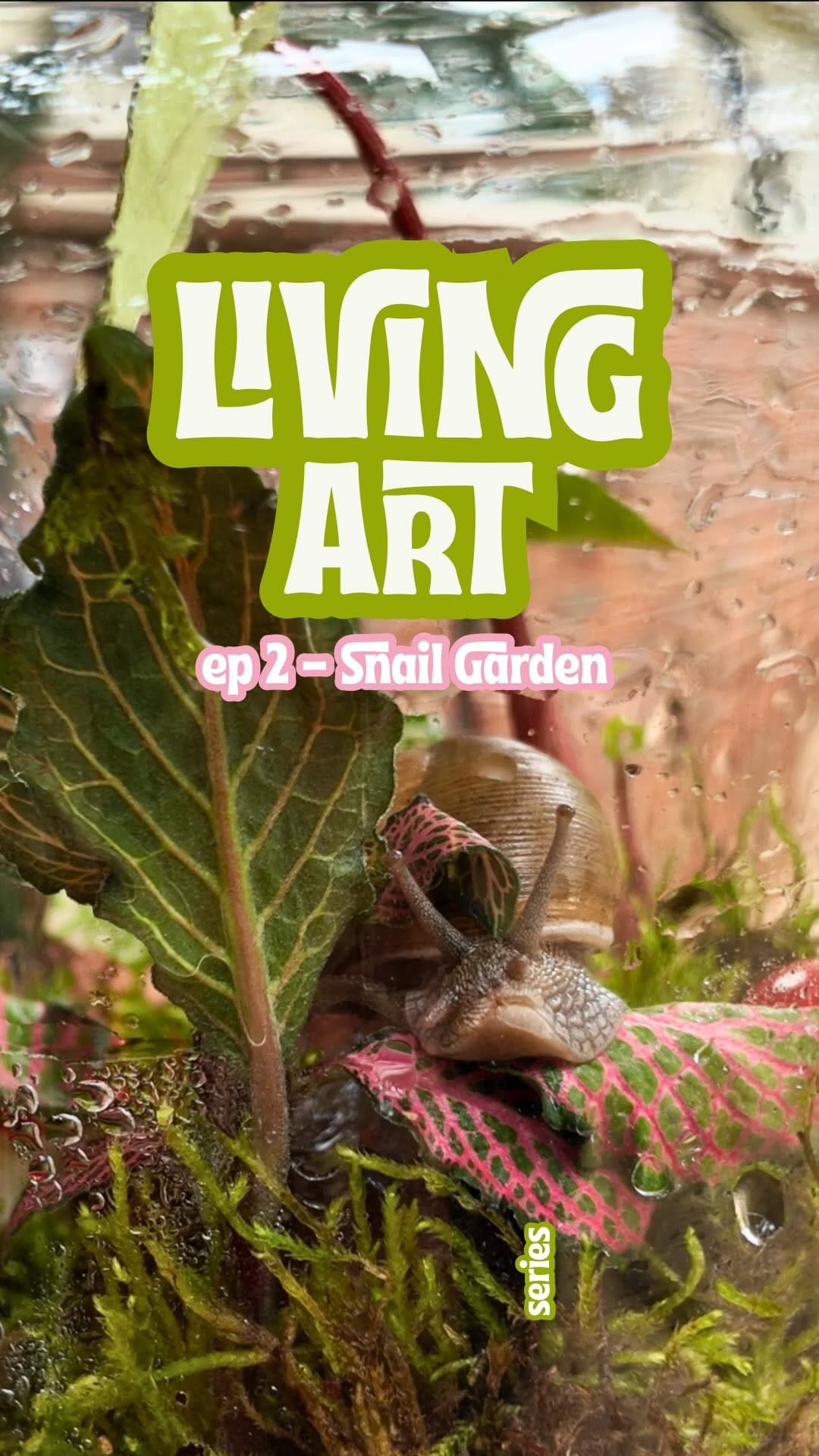 Post 4 by Vivatia Plants | Botanical Art + Installations on Instagram (video)
