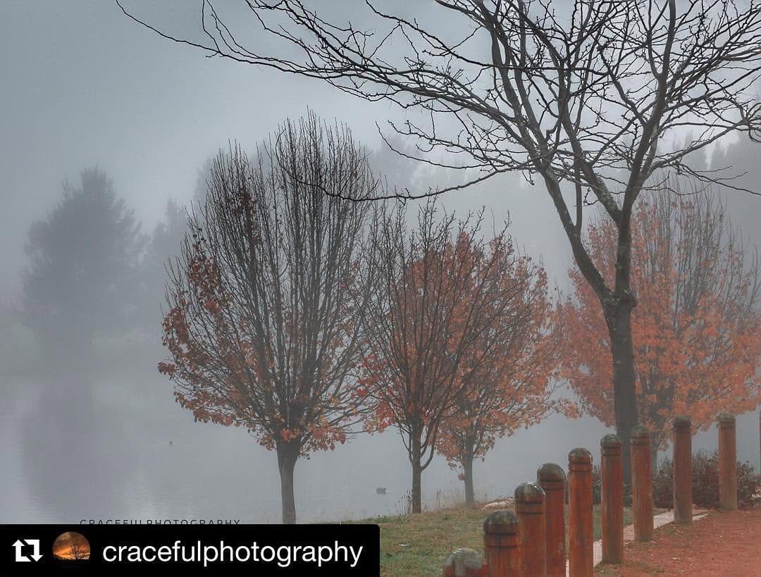 Post 6 by My Town Magazine ACT on Instagram (image)