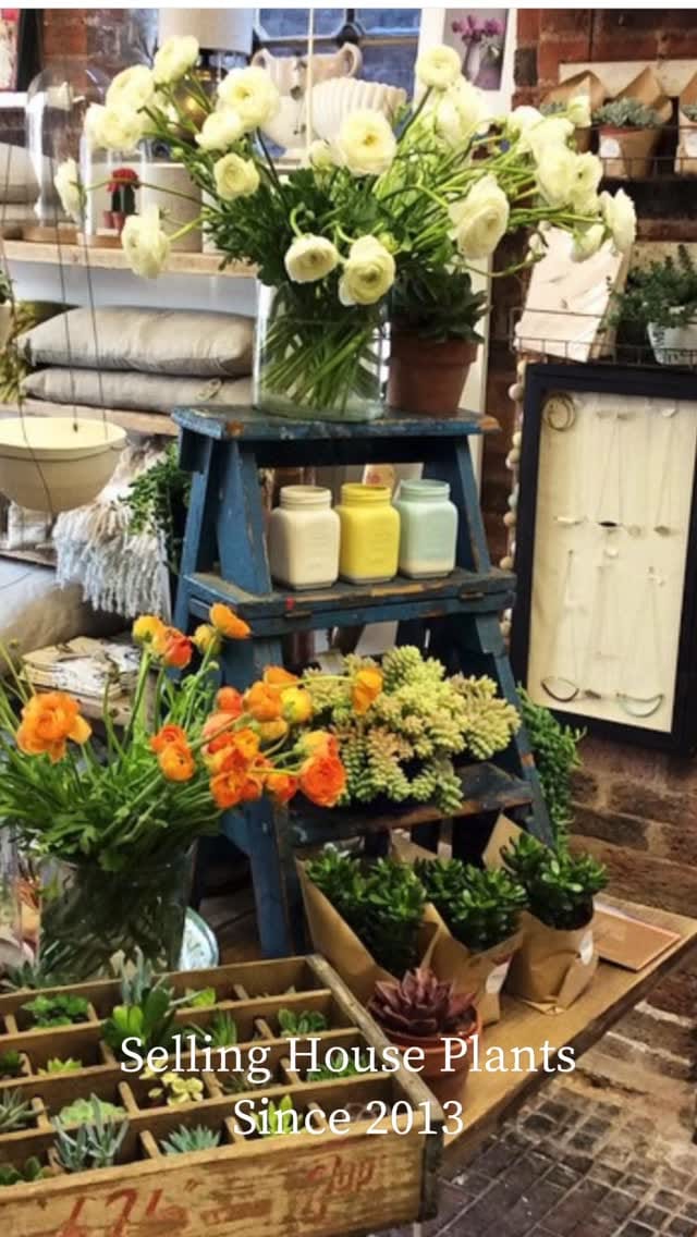 Post 3 by fromvictoriashop on Instagram (video)