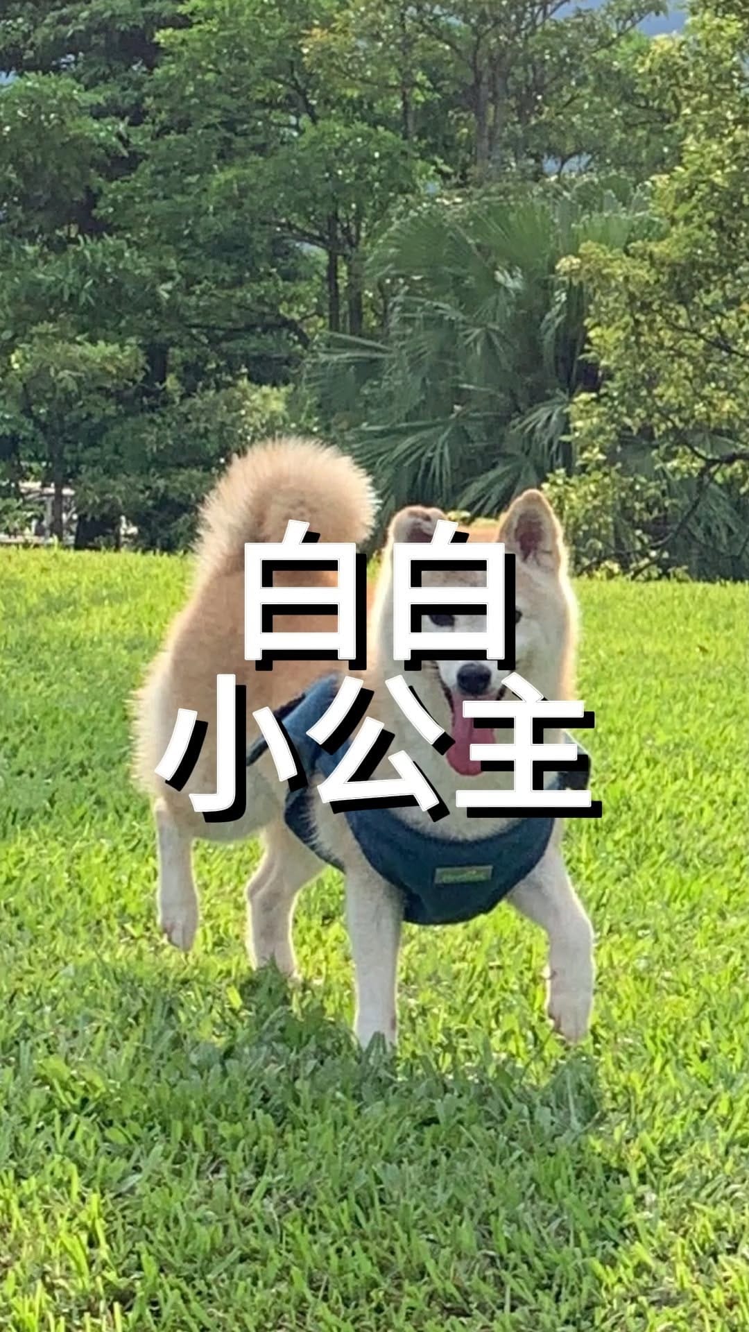 Post 9 by GHOT 很熱🔥 on Instagram (video)