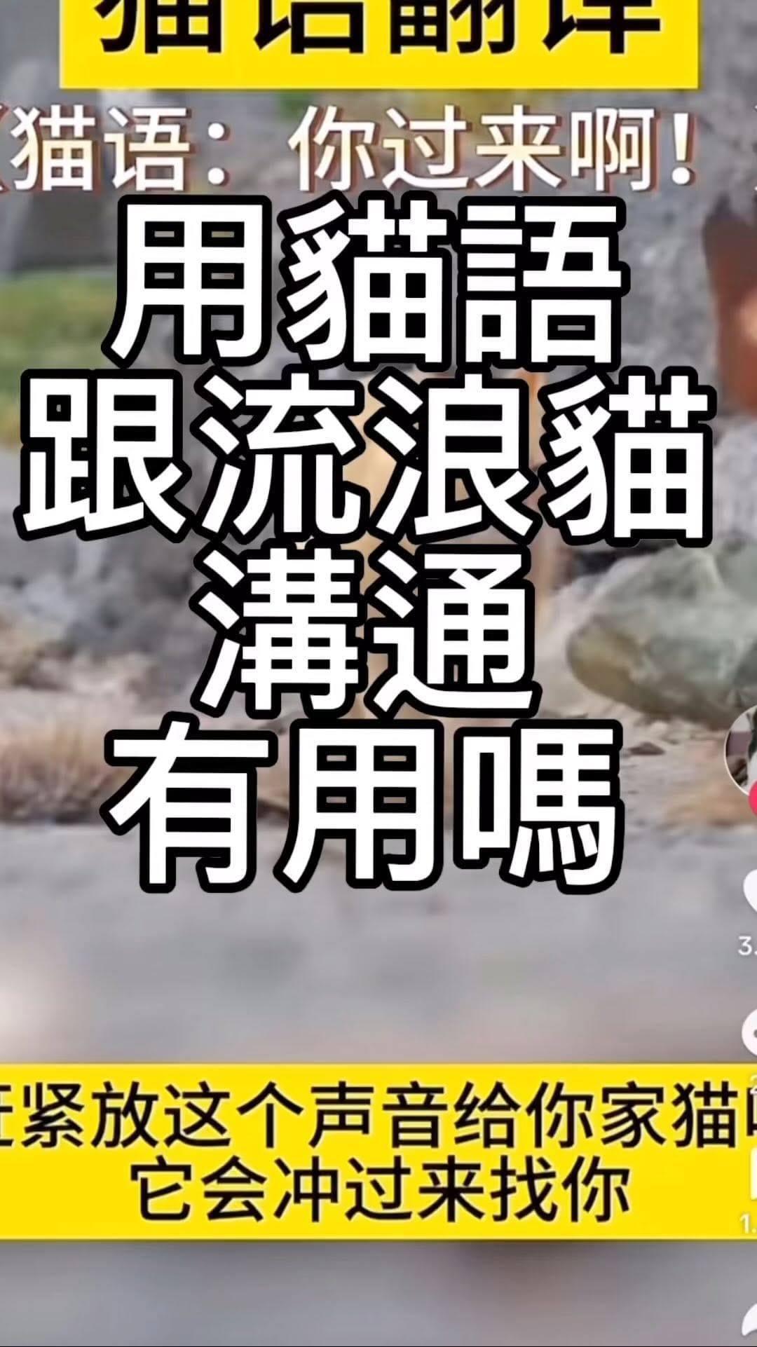 Post 3 by GHOT 很熱🔥 on Instagram (video)