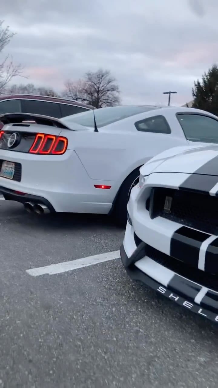Post 10 by Documenting Mustangs on Instagram (video)