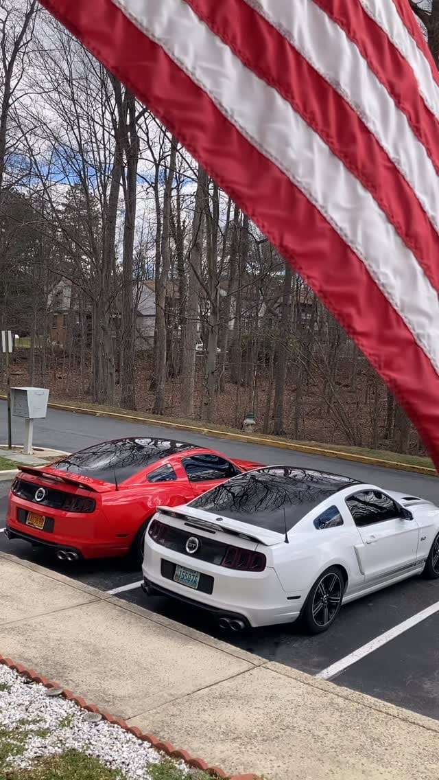 Post 6 by Documenting Mustangs on Instagram (video)