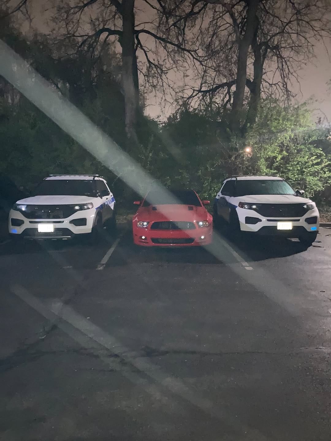 Post 2 by Documenting Mustangs on Instagram (carousel)