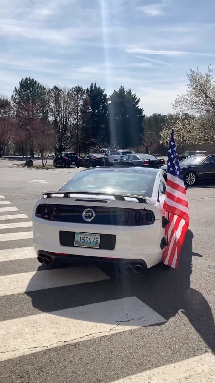 Post 9 by Documenting Mustangs on Instagram (video)