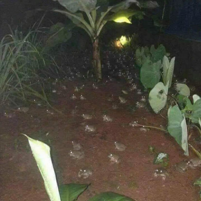 Post 8 by No context / cursed images 🕸 on Instagram (image)