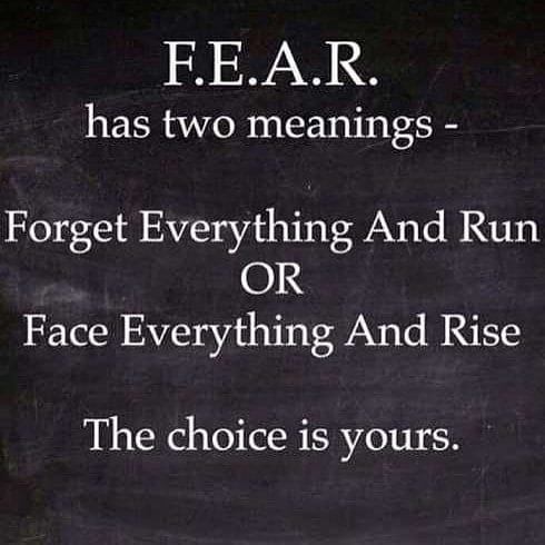 Post 2 by Social Scout™ on Instagram (image)