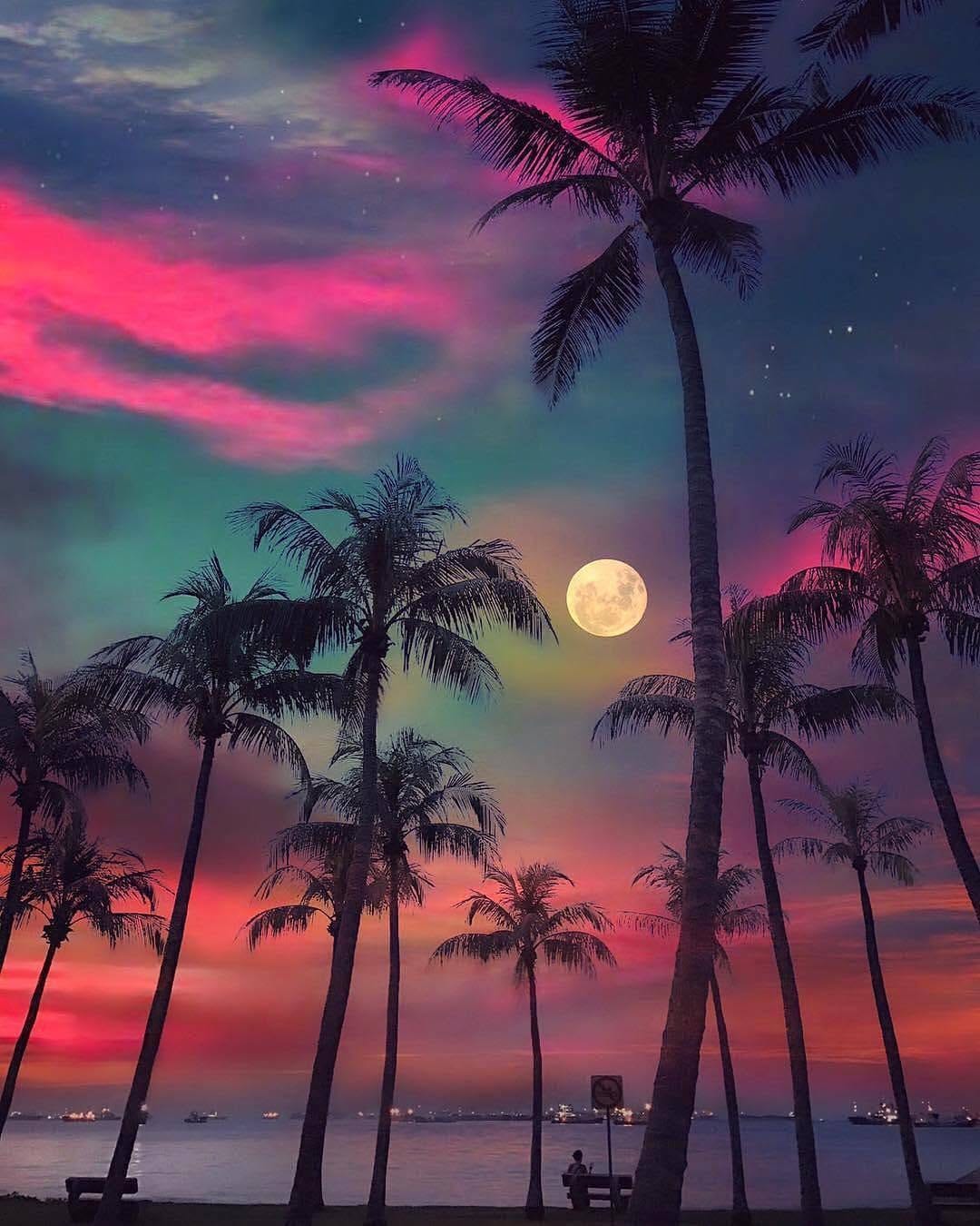 Post 5 by Social Scout™ on Instagram (image)