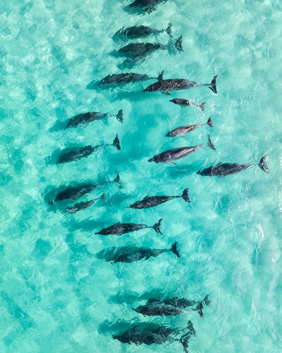 Post 3 by jesse ehlers photography on Instagram (image)