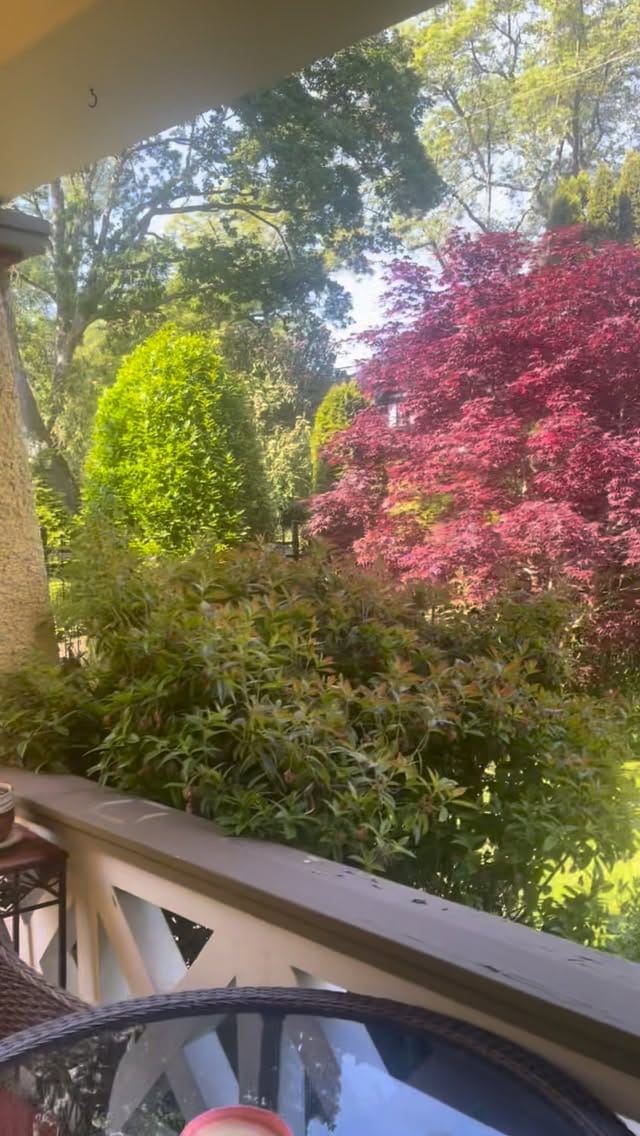 Post 5 by Patricia O'Neill on Instagram (video)