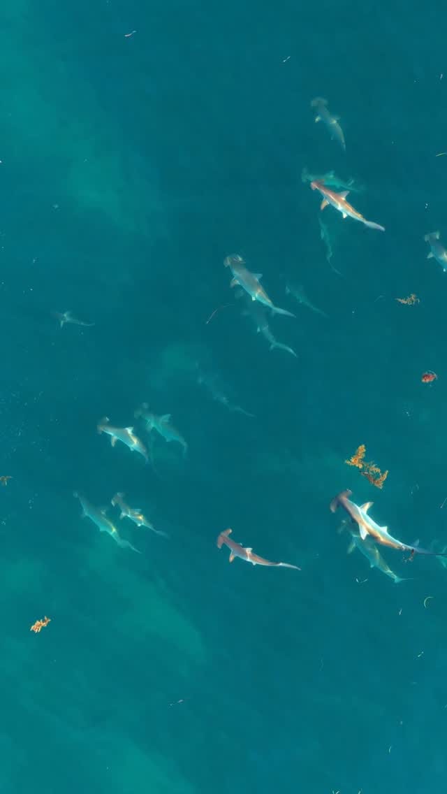 Post 5 by Mitchell Clarke - Perth on Instagram (video)