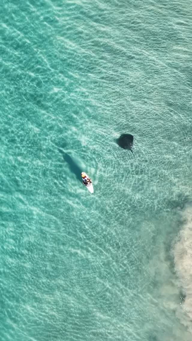 Post 4 by Mitchell Clarke - Perth on Instagram (video)