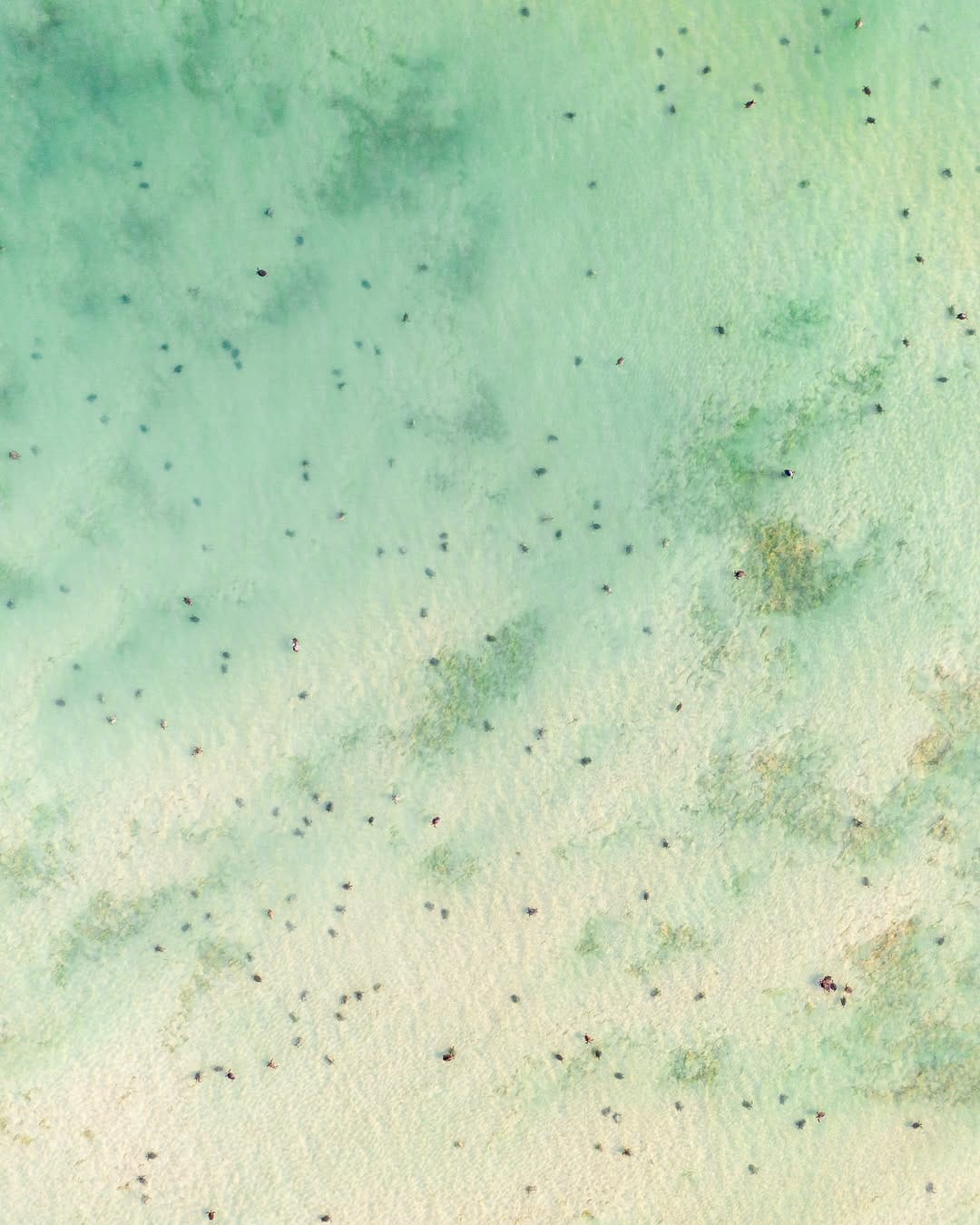 Post 7 by Mitchell Clarke - Perth on Instagram (image)