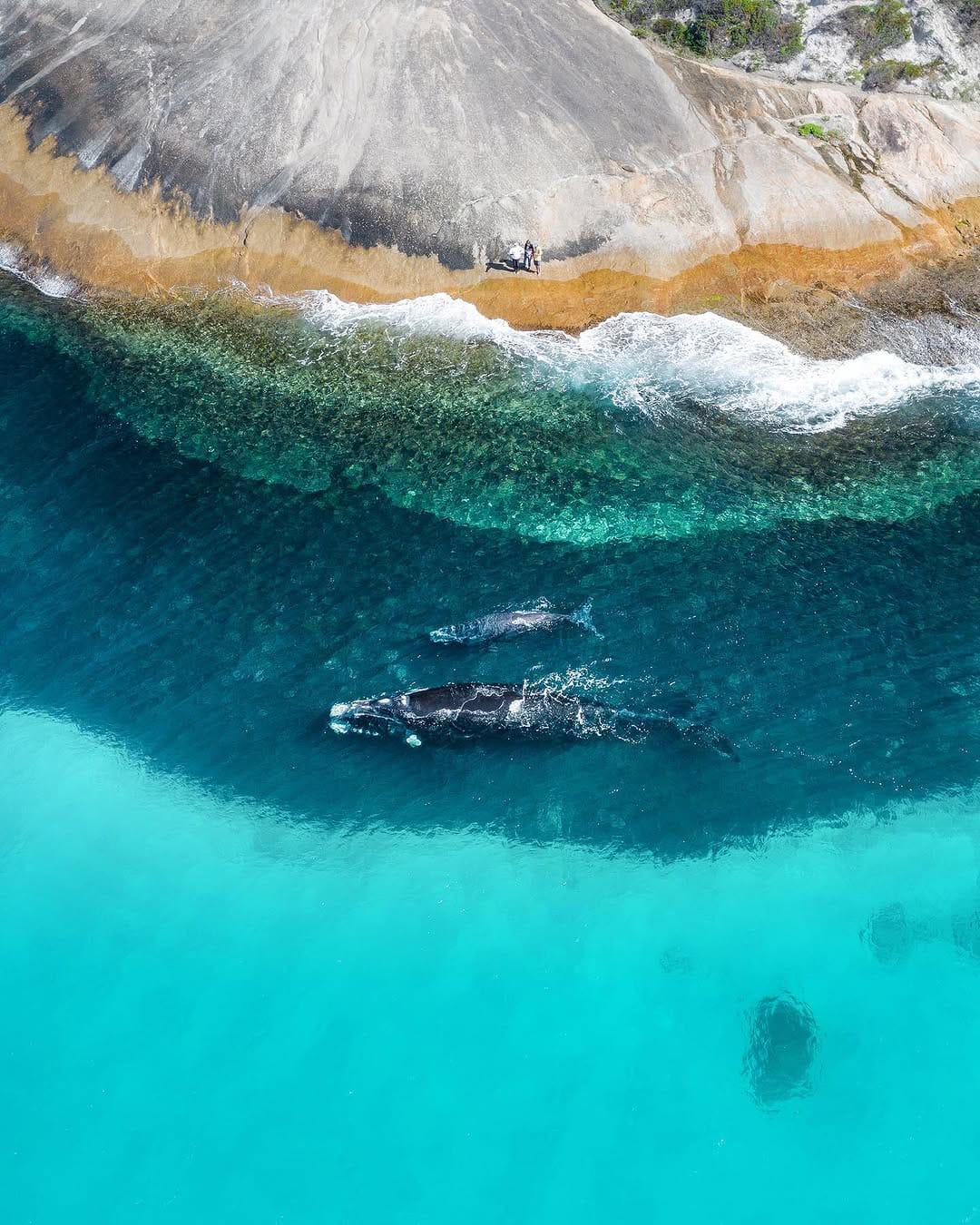 Post 10 by Mitchell Clarke - Perth on Instagram (image)